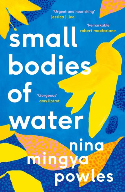 Small bodies of water