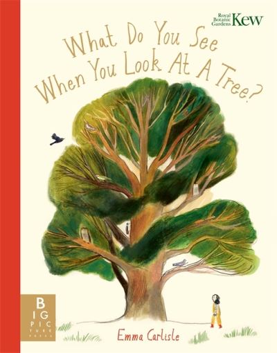What do you see when you look at a tree?