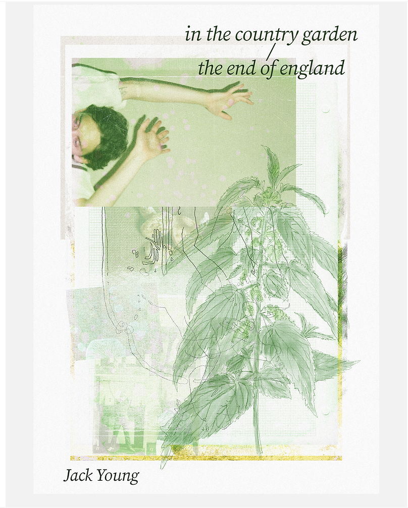 in the country garden / the end of england