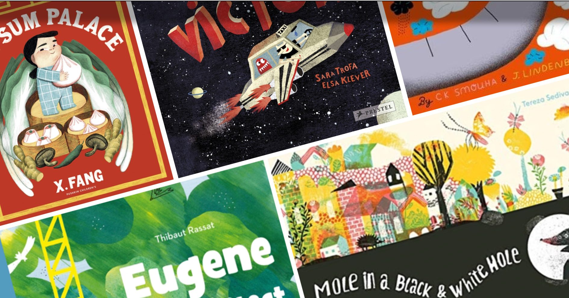 Unusual & beautiful picture books