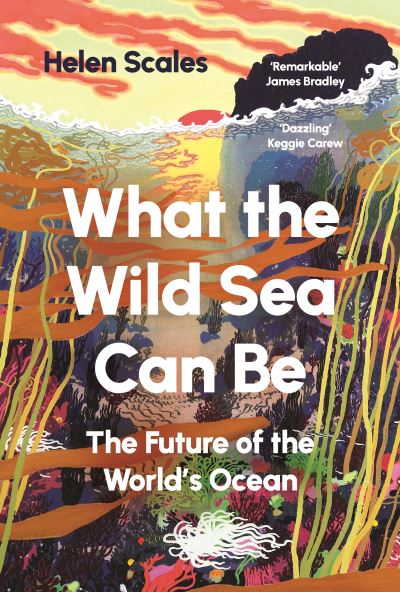 What the wild sea can be