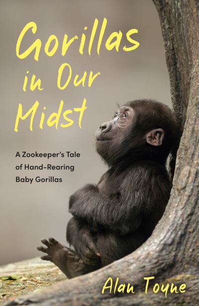 Gorillas in our midst