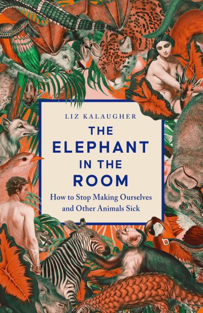 The elephant in the room